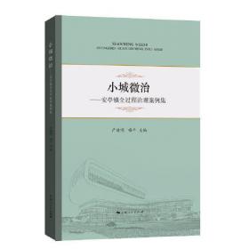 小城镇建设实践与探索全书