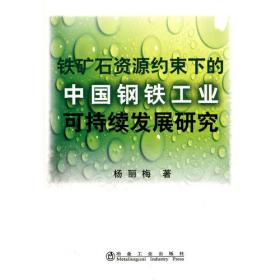 铁矿石国际标准制定及应对策略\应海松__铁矿石检验技术丛书
