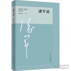 潘军实验作品集