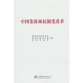 中国农村发展:理论和实践