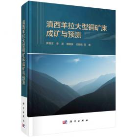 滇西学术文丛—网络思想政治教育理想模式的构建研究