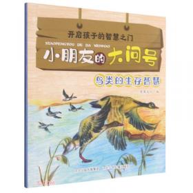鸟类之书：世界大师手绘经典