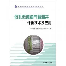 中国石油勘探工程技术攻关丛书：低阻油气藏测井评价技术及应用