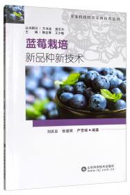 蓝莓英语·满分训练：完形填空150篇（高2年级）