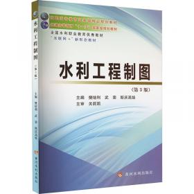 水利工程除险加固技术丛书：水闸工程除险加固技术