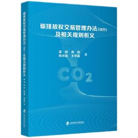 碳排放交易市场与制度设计
