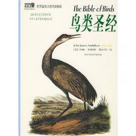 鸟类圣经