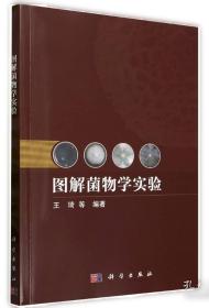 高职教育文化的建构