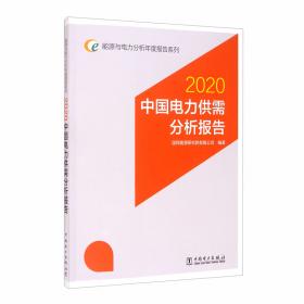 能源与电力分析年度报告系列2021中国新能源发电分析报告