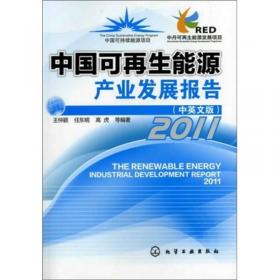 Capacity Building Strategy for the Rapid Commercialization of Renewable Energy in China