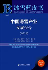 中国冰上运动产业发展报告（2017）