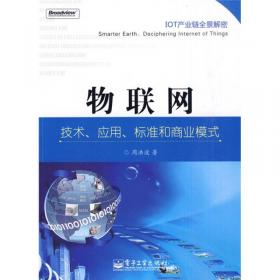 物联网：技术、应用、标准和商业模式（第2版）