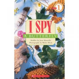 I Spy: A Candy Cane 学乐读本系列第一级·视觉大发现：糖果棒