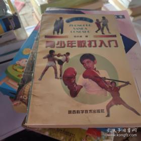 武术散打技法