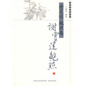 江文通集校注（平）（中国古典文学丛书）（全四册）