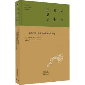 黄淮七省考古新发现（2018年）