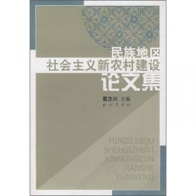 中国少数民族地区发展报告（2004）