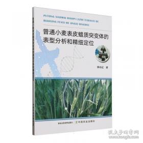 普通拓扑学
