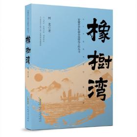 橡树学术丛书・稗海探骊――古代小说新论