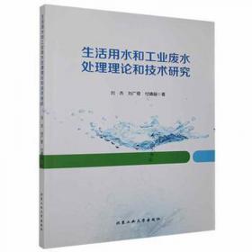 C程序设计与问题求解实践教程