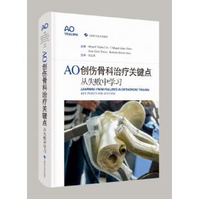 AO应用实例丛书：AO专项资金审计应用实例
