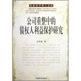 中国民事诉讼程序制度研究