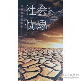 上海浦东社会治理发展报告:2025:2025:村居治理能力提升
