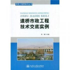 项目工程师知识丛书：道桥市政工程施工方案范例