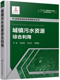 废物资源综合利用技术丛书—污泥处理处置与资源综合利用技术