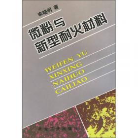 21世纪高等学校规划教材：现代高压电网继电保护原理