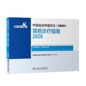 中国临床肿瘤学会(CSCO)原发性肺癌诊疗指南2019