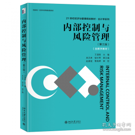 内部审计实务标准