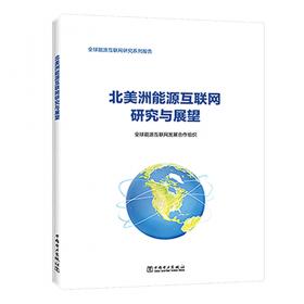 全球电-碳市场研究报告（英文版)
