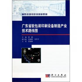广东省镁工业技术路线图