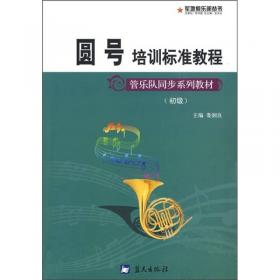 管乐队同步系列教材：长笛培训标准教程（初级）