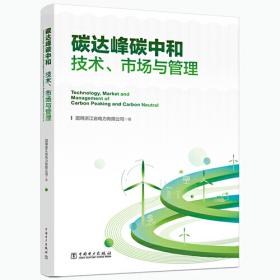 碳达峰碳中和目标下中国交通低碳转型发展战略与路径研究