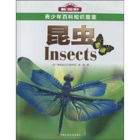中国动物志 昆虫纲 第五十三卷 双翅目长足虻科