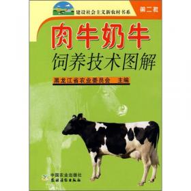 小型柴油机使用与维修（农业工程与农业机械篇）