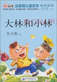 读书熊·儿童文学名家名作:大林和小林