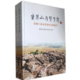 焰红石渚——长沙铜官窑遗址2016年度考古发掘出土瓷器