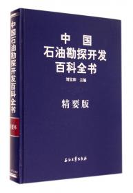 中国石油勘探开发百科全书（综合卷）