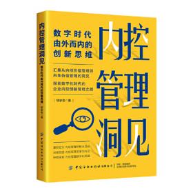 内控总监工作笔记 企业内部控制工作法及案例解析