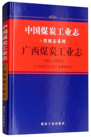陕西煤炭工业志（1991-2012）/中国煤炭工业志省级志系列