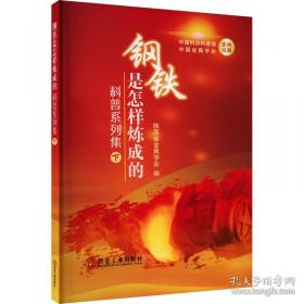 钢铁是怎样炼成的/新课标学生课外必读丛书