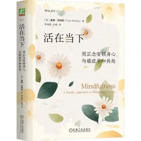 精灵宝钻