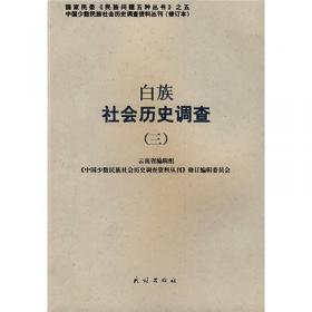 广西壮族社会历史调查（3）