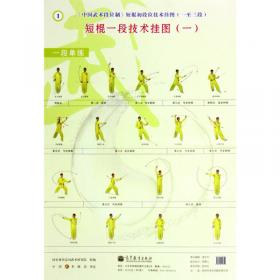 中国武术段位制系列教程：和式太极拳
