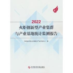 中国火炬统计年鉴（2020汉英对照）