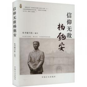 岳飞十八谈 中国历史  新华正版