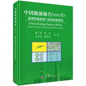 2008中国能源报告：碳排放研究